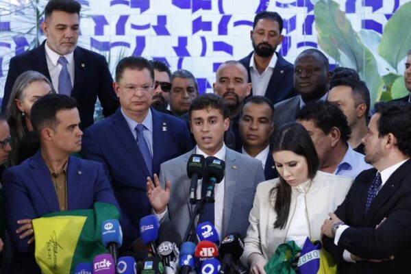 Confira o número de reeleitos, deputados de primeiro mandato e ex-deputados que voltam à Câmara