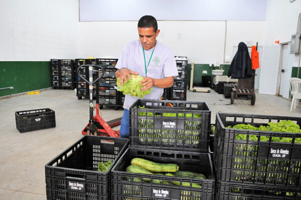 Excedentes de mercados podem alimentar famílias vulneráveis, prevê projeto
